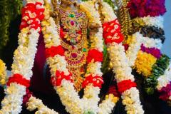 IMG-20260426-WA0035