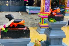 IMG-20260427-WA0024