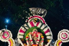 IMG-20250510-WA0062