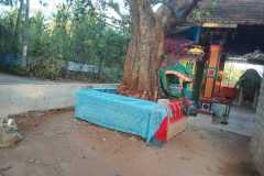 IMG-20260312-WA0008