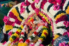 IMG-20250507-WA0005