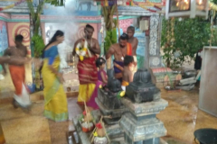 IMG-20240428-WA0006